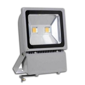 ΠΡΟΒΟΛΕΑΣ LED 100 W ΔΙΠΛΟΣ - ΟΕΜ