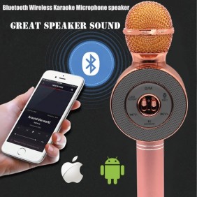 Ασύρματο Bluetooth Mικρόφωνο KARAOKE Hχείο Mp3 Player WSTER - Disco Light Microphone WS-668