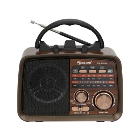 RX-BT031 portable vintage am fm radio AC DC powered old style wireless speaker with AM FM radio Golon retro radio